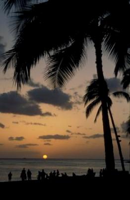 Pass the mahi mahi, a Honolulu travel guide